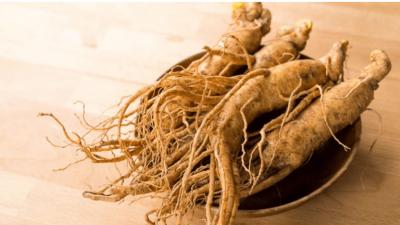 Cách ngâm rượu sâm Hàn Quốc cực chuẩn & Tăng giá trị sâm