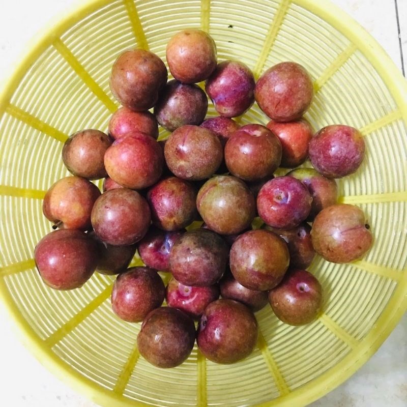 Bước 1 Sơ chế mận bắc Rượu mận (Công thức được chia sẻ từ người dùng)